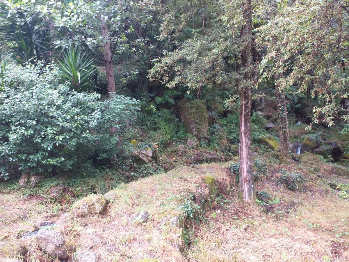 Casa Abrigo Do Lagar Villa Amares Eksteriør billede